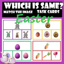 EASTER -Which is the Same?- Match the image Clip Task cards with Real Images