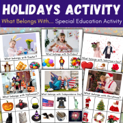 What belongs with? Holidays Activity