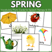 Spring Vocabulary Photo Flashcards