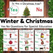 Winter and Christmas Yes No Questions Print and Go