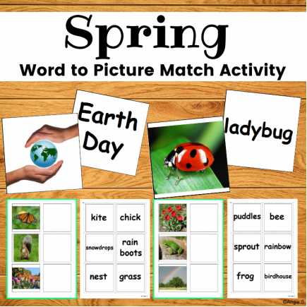 Spring Activity - Word to Picture Match for Special Education