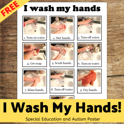 Washing Hands Visual Poster FREE