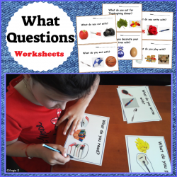 What Questions Autism Worksheets for Special Ed and Speech Therapy 
