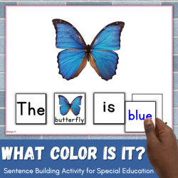 Sentence Building | Building Sentences Activity - What color is it?