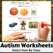 Receptive Language Worksheets Print and Go - Select Item by Class