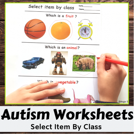 Receptive Language Worksheets Print and Go - Select Item by Class