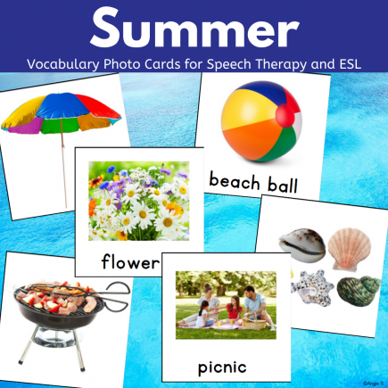 Summer Vocabulary Cards