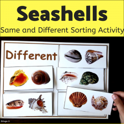 Seashells Same and Different Sorting Activity