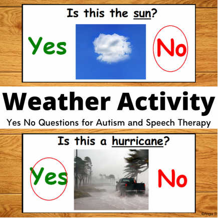 Print and Go Weather Yes No Questions 
