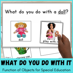 Object Function Speech Therapy Activity | What Do You Do With It