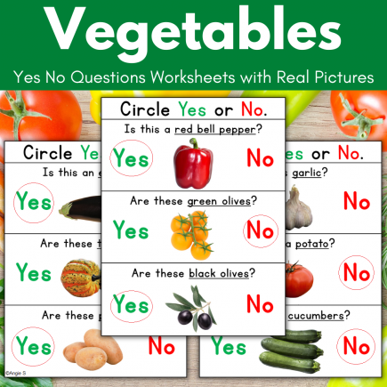 Vegetables Yes No Questions Print and Go Worksheets