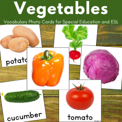 Vegetable Picture Vocabulary Cards | Speech Therapy Flashcards