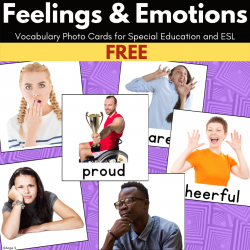 Feelings and Emotions Cards with Pictures FREE