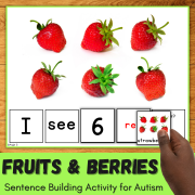 Fruits and Berries Sentence Building Activity
