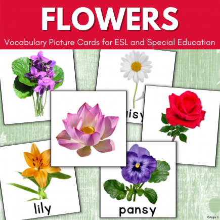Flowers Vocabulary Picture Cards