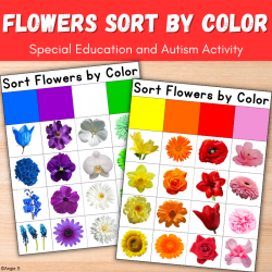 Flowers Sort by Color Activity 