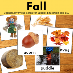 Fall Vocabulary Picture Card