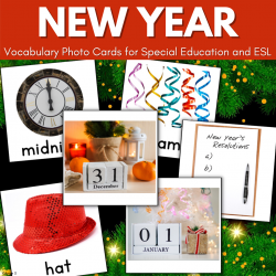 New Year Vocabulary Picture Cards