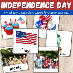 4th of July Vocabulary Cards | Independence Day