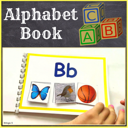 Alphabet Matching Activity (Alphabet Book)