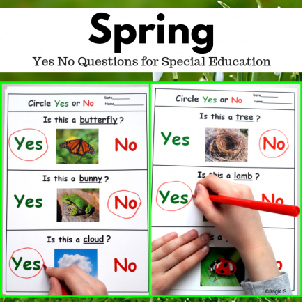 Spring Activity for Speech Therapy - Yes No Questions, Print and Go Worksheets