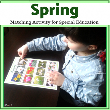 Autism Matching File Folders -Spring