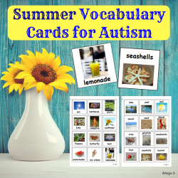 Summer Pecs Cards for Nonverbal Students
