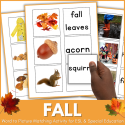 Fall Word to Picture Matching Activity