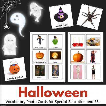 Halloween Vocabulary Photo Flash Cards