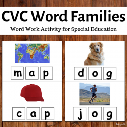 CVC Word Families, Spelling CVC Words