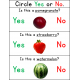 Fruits and Berries Yes No Questions Worksheets 