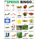 Spring Bingo Game and Vocabulary Cards with Real Pictures