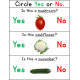 Vegetables Yes No Questions Print and Go Worksheets