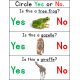Zoo Animals Activities - Yes No Questions Set 1 Print and Go