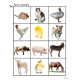 Animals Sorting - Farm, Zoo and Ocean Animals